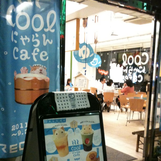« Cool Cafe » à Ginza, ça à l’air amusant avec sa thématique chat/onsen