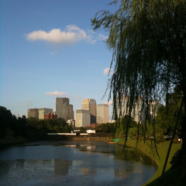 Encore un joli ciel bleu sur Tokyo aujourd’hui ! Ça c’était hier ;-)