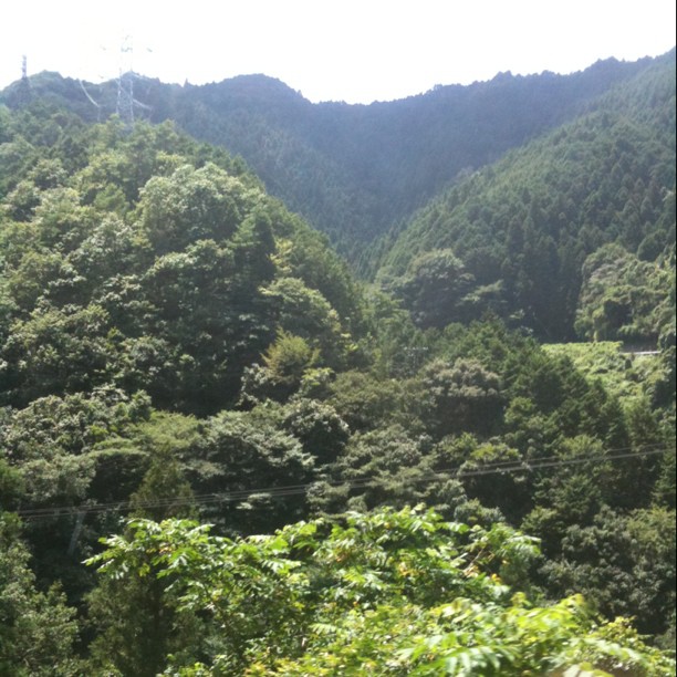 On va redescendre et continuer jusqu’à Wakayama pour prendre le bâteau !