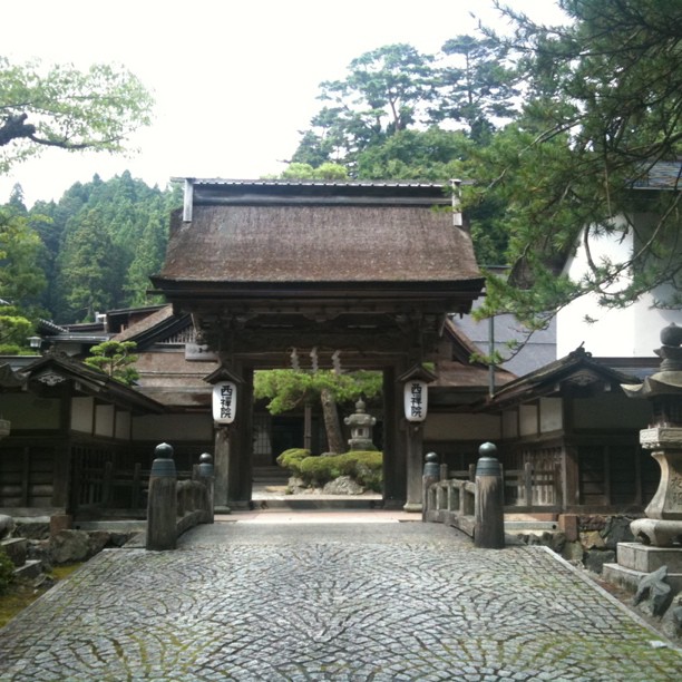 On dort ici ! Shukubo (mix temple/Ryokan) Saizenin à Koya san.