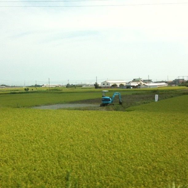 De nouveau dans le train… Direction Kyoto avec la campagne nipponne par la fenêtre.