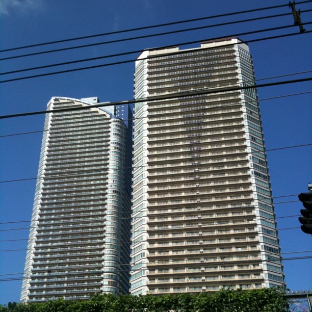 Super ciel bleu pour le Tokyo Safari du jour !