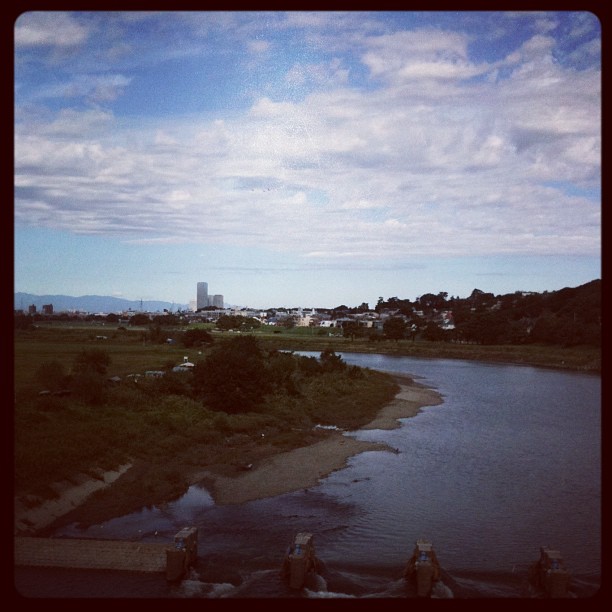 Avec un ciel comme ça les photos du Tokyo Safari seront sympa !