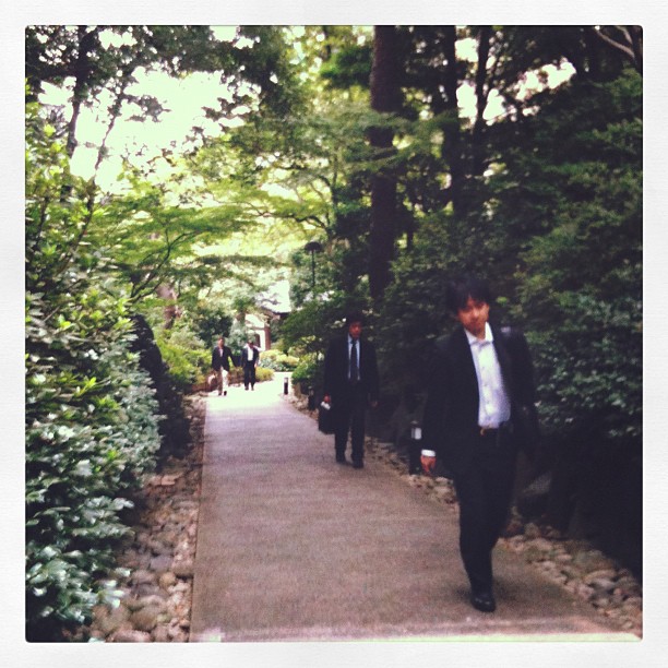 Perdu dans la forêt du Grand Prince Hôtel pour retrouver le client du Tokyo Safari du jour…