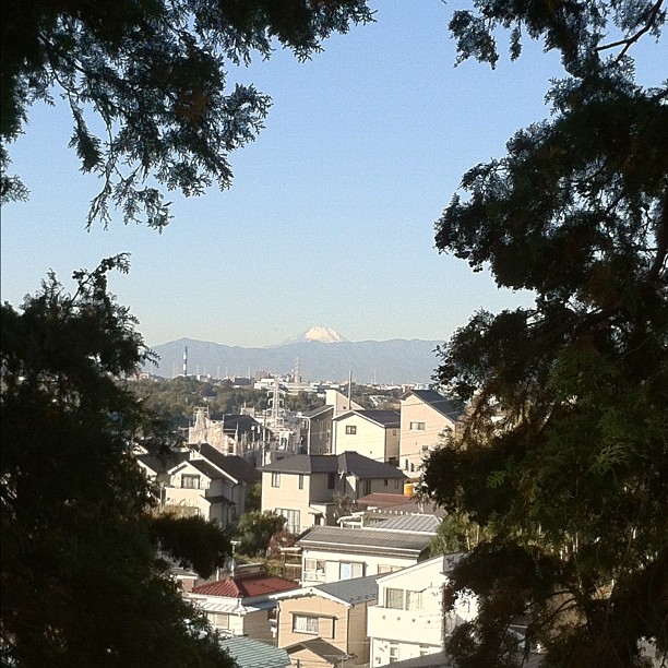 Magnifique Fuji San sur fond bleu ce matin !