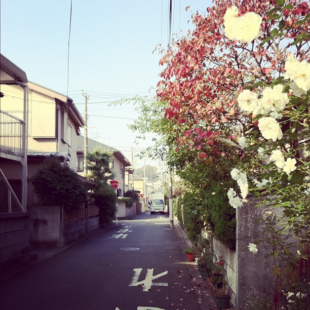 L’air sec hivernal japonais permet aux parfums des popotes de grand mère d’envahir les ruelles… J’adore !