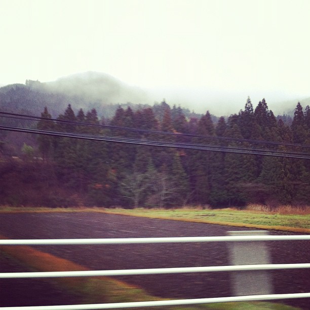 Brume dans la montagne nipponne… Aujourd’hui on n’est pas gâté par la météo…