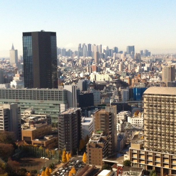 En plein repérage de nouveaux spots photo pour les Tokyo Safari