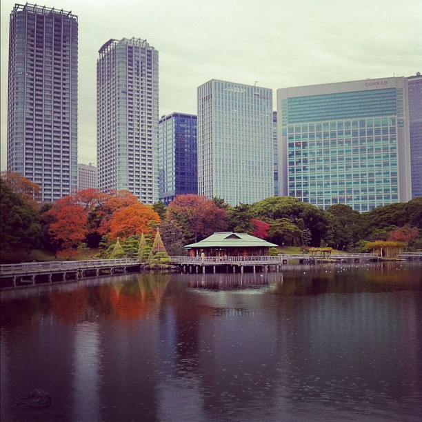 Le contraste entre la maison de thé du Hamarikyu et les buildings est saisissant !