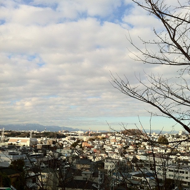 Aujourd’hui il a fait bien froid ! On ne voyait pas le Fuji mais on distinguait les sommets enneigés des Alpes japonaises