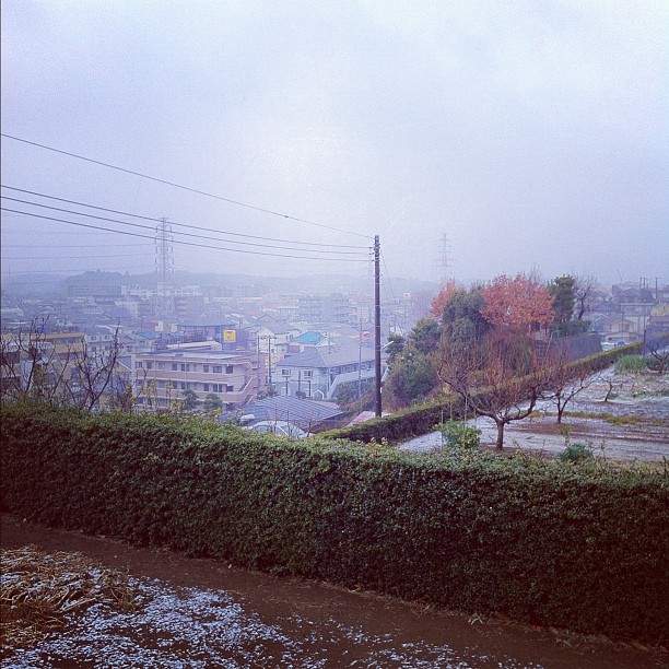 Il pleutneige ce matin dans le coin de Tokyo…