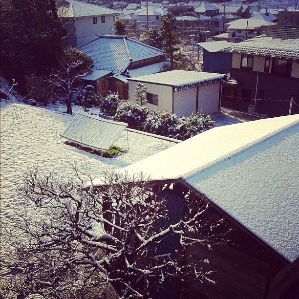 Dommage la ville ne restera pas longtemps couverte de neige…