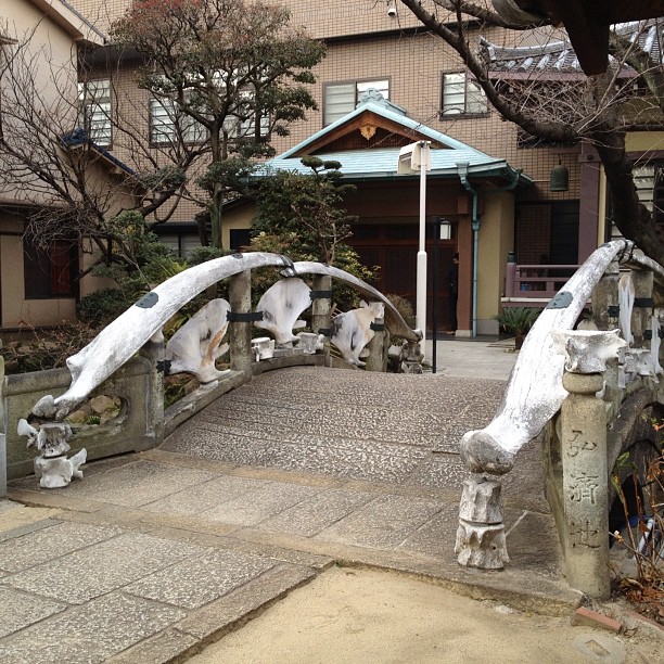 En direct du Kujirabashi (pont des baleines) à Osaka