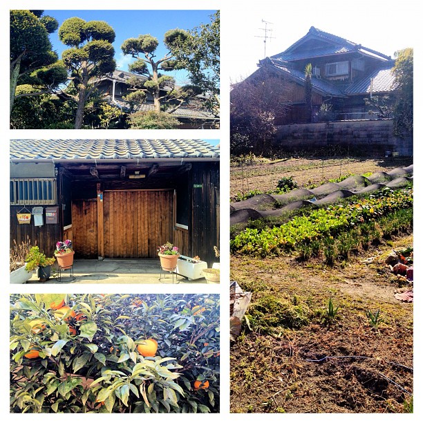 Aujourd’hui c’était balade près de chez moi et j’habite pas du tout à la campagne ! #kansai #osaka #igersosaka #japon #maisonstraditionnelles