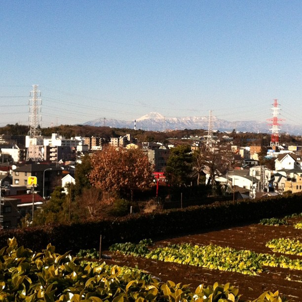 Fuji san !