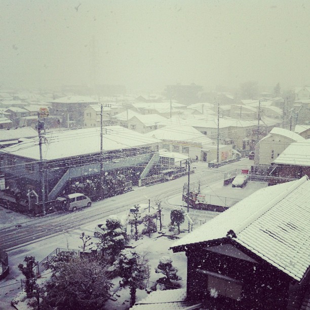 #fujireport : il re-neige à Tokyo !