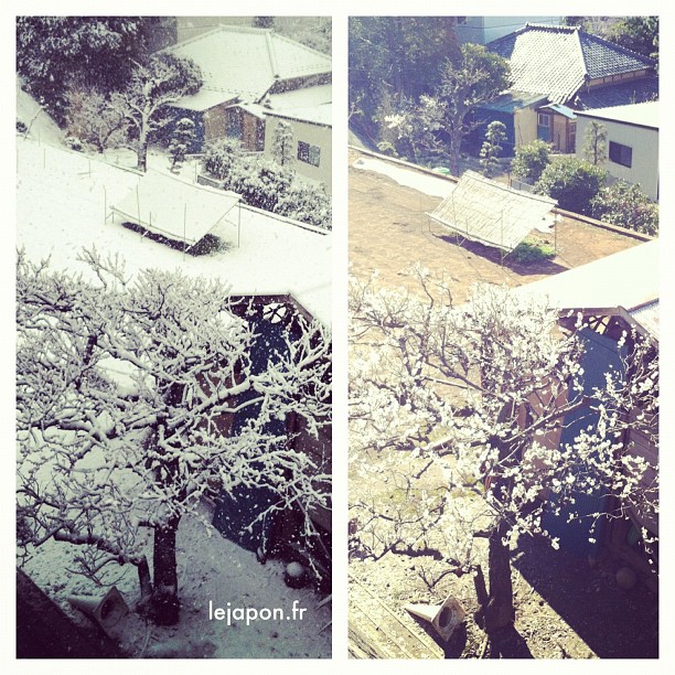 D’une semaine à l’autre… #japon
