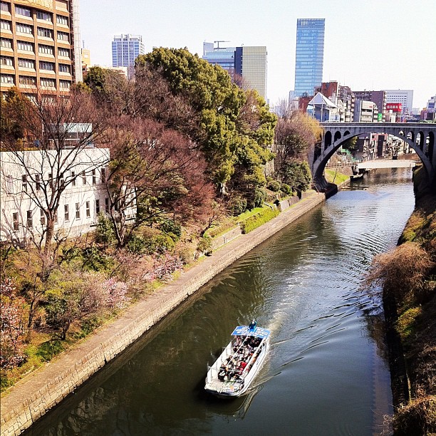 Tokyo Safari 2012, je teste des nouveaux angles ;)