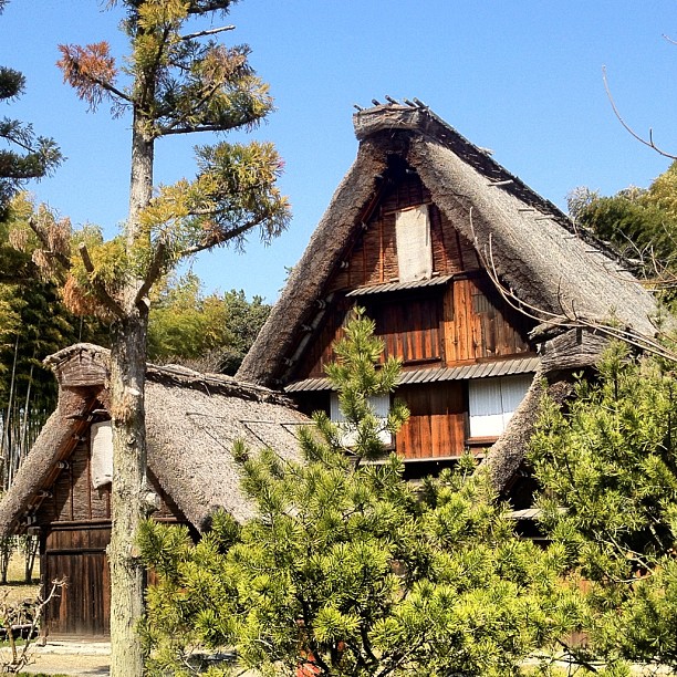 Non, je ne suis pas à Shirakawago mais toujours à Osaka :)