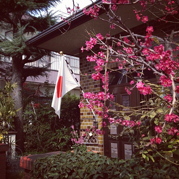 Pour le 1er jour du printemps, les drapeaux sont de sortie :)