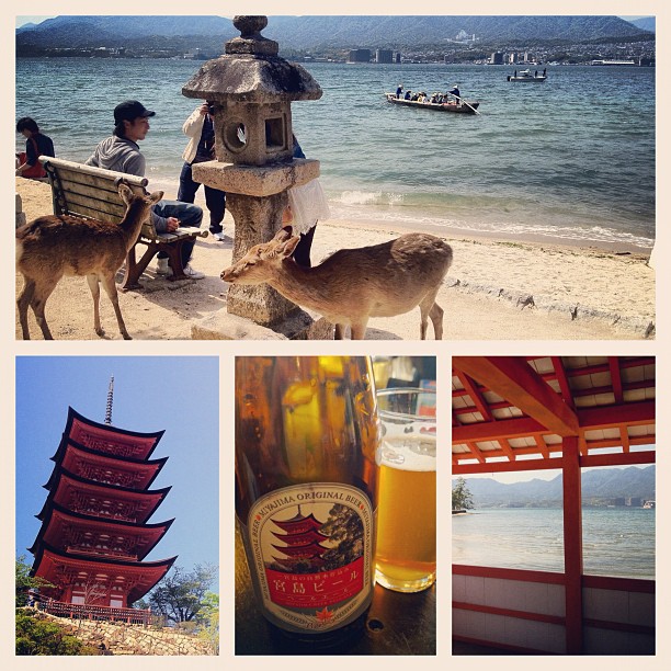 Balade presque estivale sur l’île de Miyajima. Bière locale en bonus :)