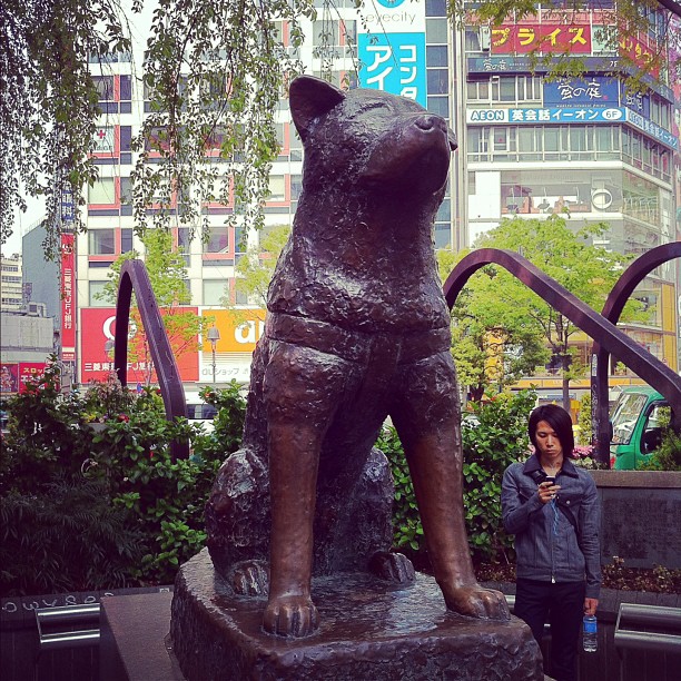 Achiko ce matin… C’est le point de RDV de Shibuya ! Si on le trouve… ;)
