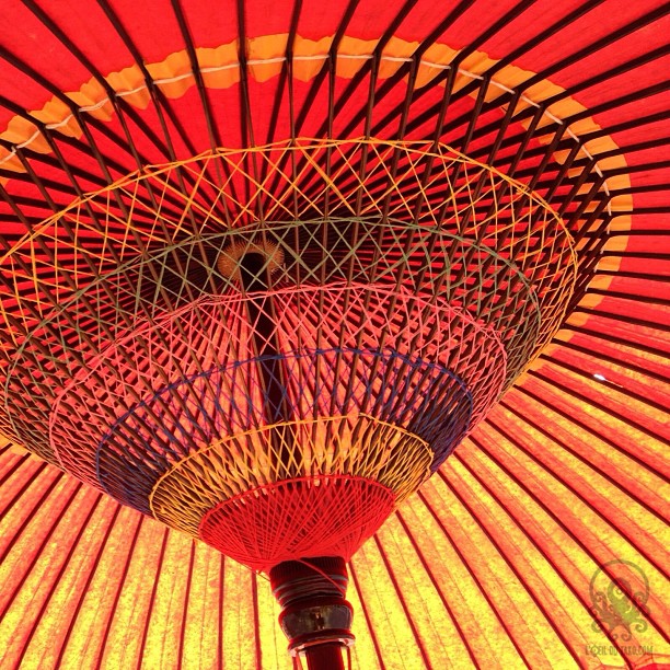 A l’ombre d’un parasol japonais.