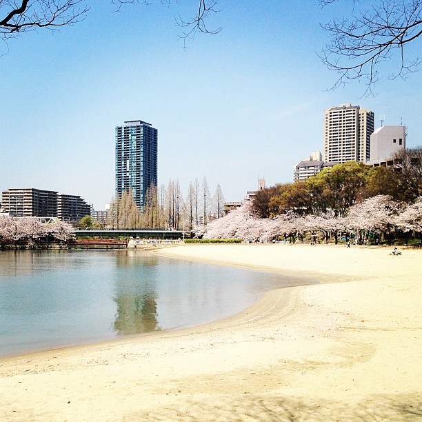 Plage urbaine bordée de cerisiers à Osaka