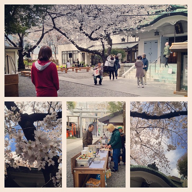 Préparatifs au sanctuaire d’Amemura pour une soirée Hanami avec live et yatai