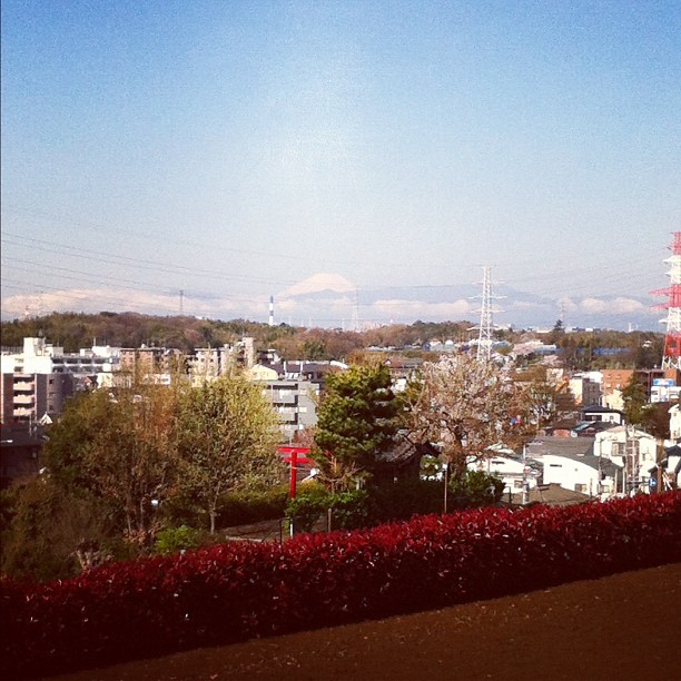 #fujireport : ça faisait longtemps qu’on ne l’avait pas vu comme ça ! Fuji san is back !