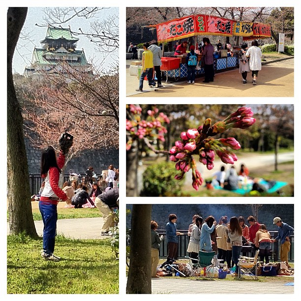 Barbecue, pic-nique, yatai et autres activités dans le parc du château d’Osaka. Hanami a bel et bien commencé !