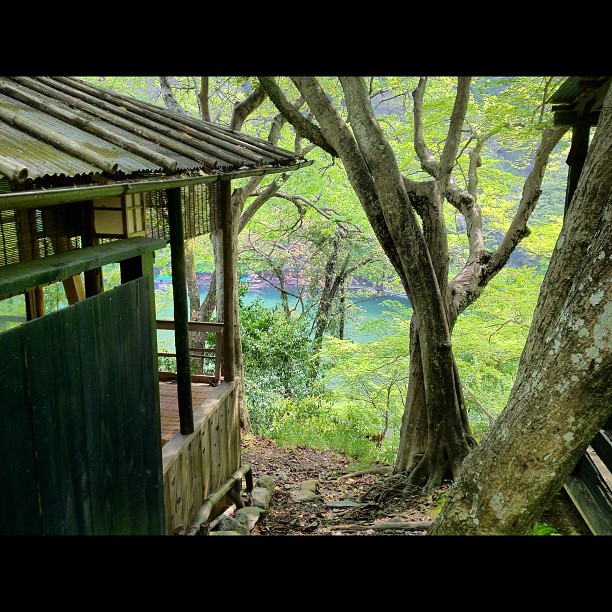 Sur les hauteurs d’Arashiyama