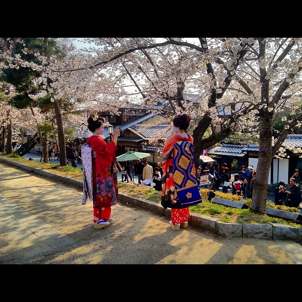 Le genre de scènes que l’on ne voit qu’à Kyoto
