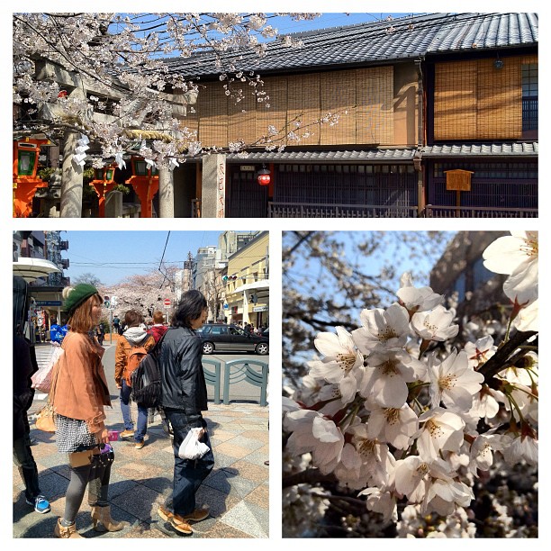 Aujourd’hui c’est l’effervescence à Kyoto !