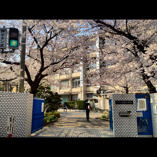 Entrée fleurie de l’école près de chez moi au nord d’Osaka