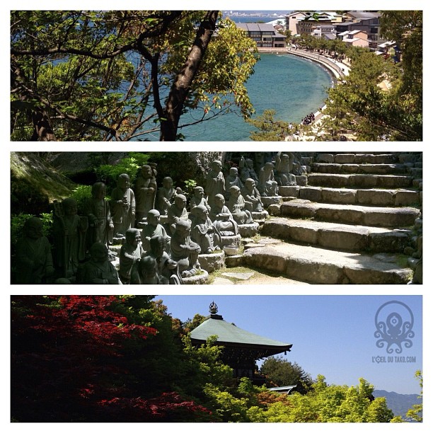 …mais le voyageur saura apprécier les autres vues qu’offre Miyajima lors d’un Hiroshima Safari…