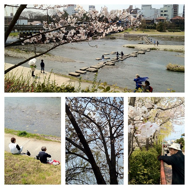 Sur les rives de Kyoto