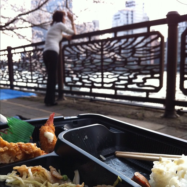 Ohanami du midi pour le Tokyo Safari… Mon spot est top ;)