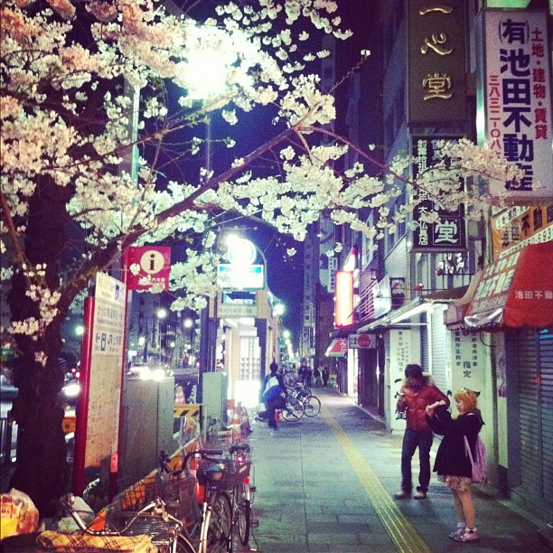 Super journée à chasser les Sakura à Tokyo !