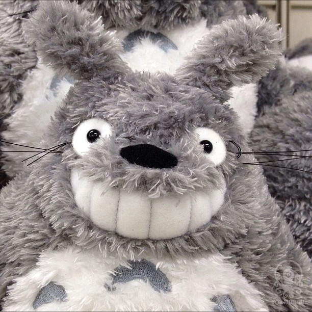 Totoro « ultra bright » vous souhaite bonne nuit !