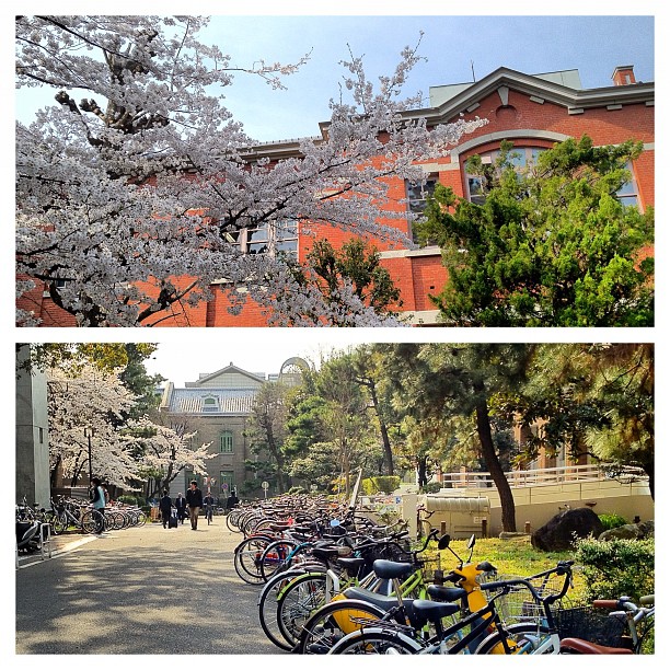 Kyodai, l’Université de Kyoto
