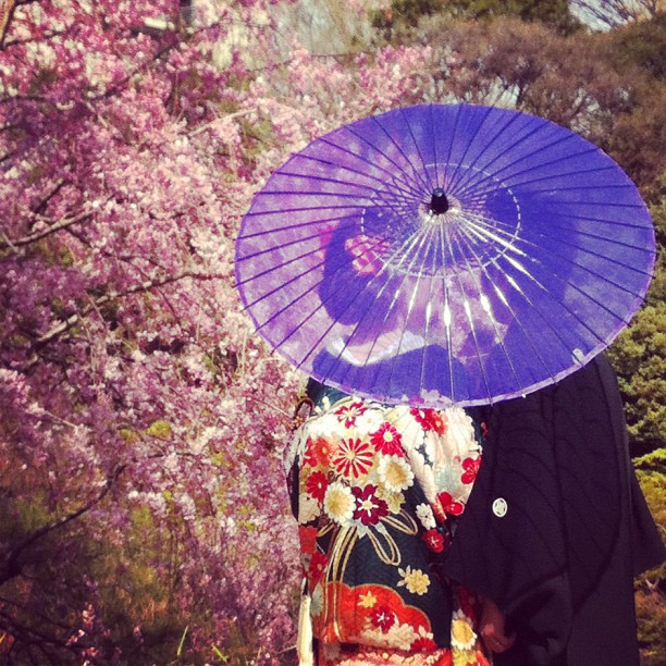 Des amoureux en kimono sous les Sakura… ❤ Tokyo !