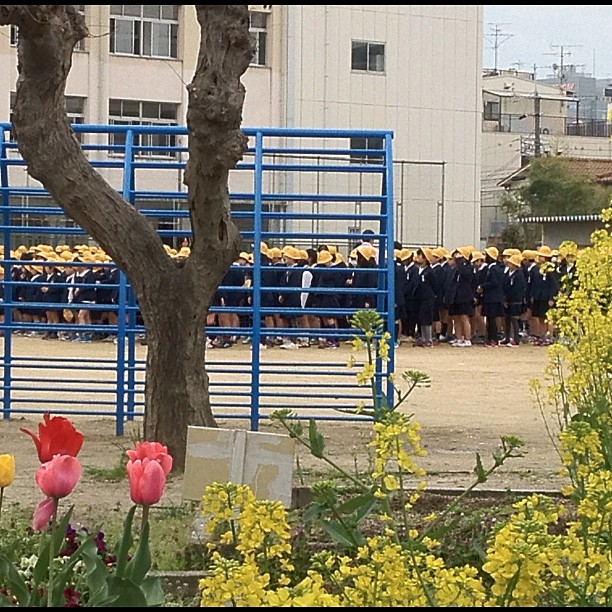 Réunion des élèves dans la cour de l’école tandis que je me dirige vers l’hôtel des clients du jour pour un Osaka Safari