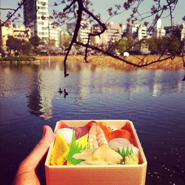 Ça commence à devenir une habitude de faire Ohanami pendant les Tokyo Safari ;)