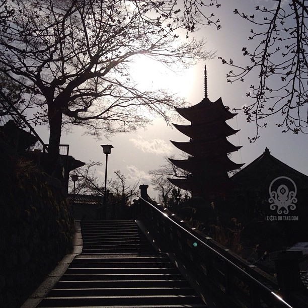 Hiroshima Safari c’est aussi la lumière au bon moment ψ(｀∇´)ψ