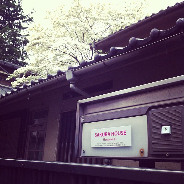 Galère pour rejoindre mes safaris t’es du jour à la Sakura House Harajuku C ! Leur GMap pointe devant Design Festa…