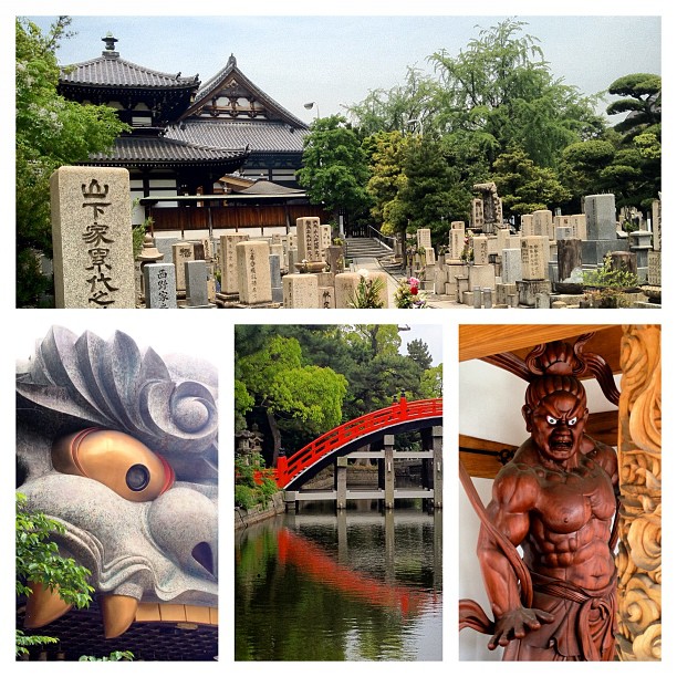 Osaka Safari très spirituel aujourd’hui