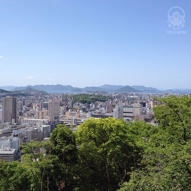 Le soleil est de la partie pour ce nouvel Hiroshima Safari