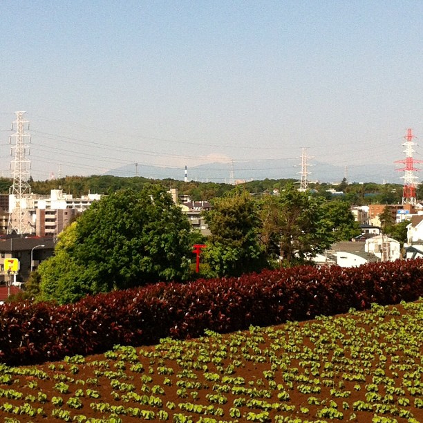 #fujireport : on voit un peu le Fuji ce matin…