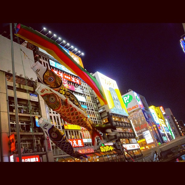 Les koinobori de Dotonbori à #osaka